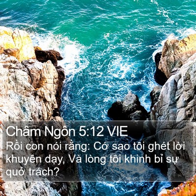 Châm Ngôn 5:12 VIE Bible Verse Image