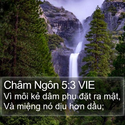 Châm Ngôn 5:3 VIE Bible Verse Image