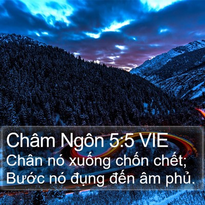 Châm Ngôn 5:5 VIE Bible Verse Image