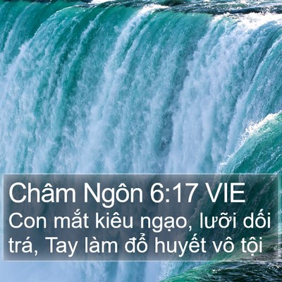 Châm Ngôn 6:17 VIE Bible Verse Image