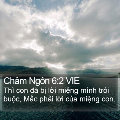 Châm Ngôn 6:2 VIE Bible Verse Image