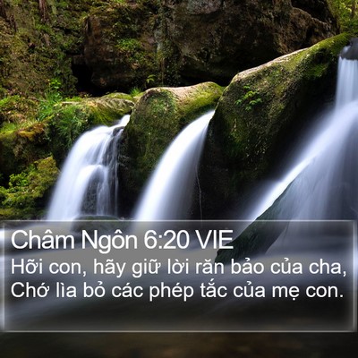 Châm Ngôn 6:20 VIE Bible Verse Image