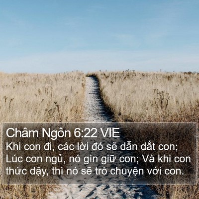 Châm Ngôn 6:22 VIE Bible Verse Image