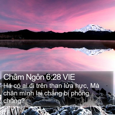 Châm Ngôn 6:28 VIE Bible Verse Image