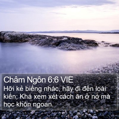 Châm Ngôn 6:6 VIE Bible Verse Image
