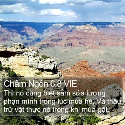 Châm Ngôn 6:8 VIE Bible Verse Image