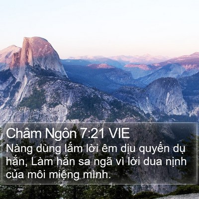 Châm Ngôn 7:21 VIE Bible Verse Image