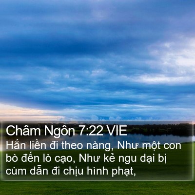Châm Ngôn 7:22 VIE Bible Verse Image