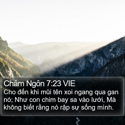 Châm Ngôn 7:23 VIE Bible Verse Image