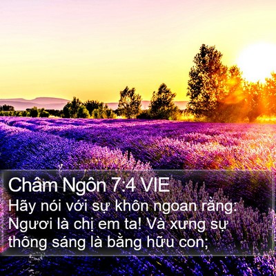 Châm Ngôn 7:4 VIE Bible Verse Image