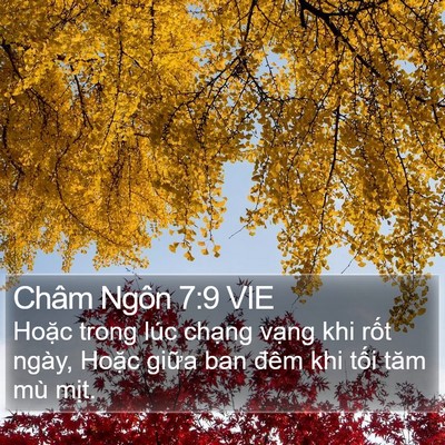 Châm Ngôn 7:9 VIE Bible Verse Image