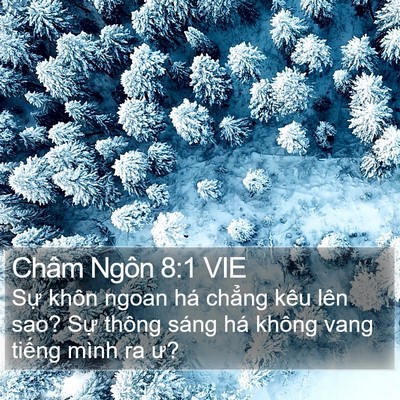 Châm Ngôn 8:1 VIE Bible Verse Image