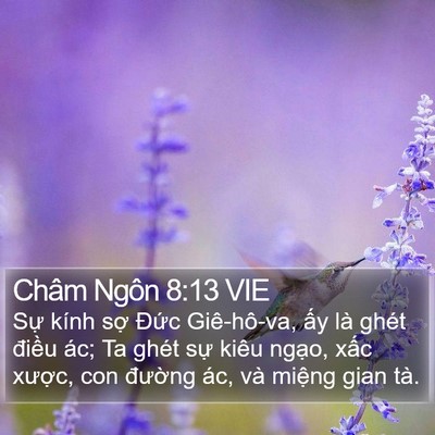Châm Ngôn 8:13 VIE Bible Verse Image