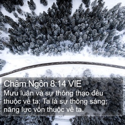 Châm Ngôn 8:14 VIE Bible Verse Image