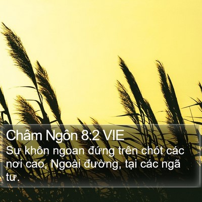 Châm Ngôn 8:2 VIE Bible Verse Image