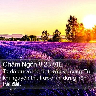 Châm Ngôn 8:23 VIE Bible Verse Image