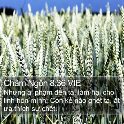 Châm Ngôn 8:36 VIE Bible Verse Image