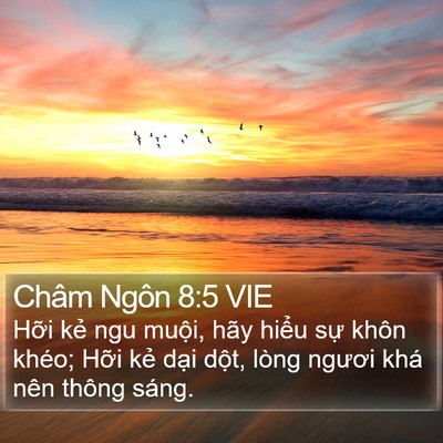 Châm Ngôn 8:5 VIE Bible Verse Image