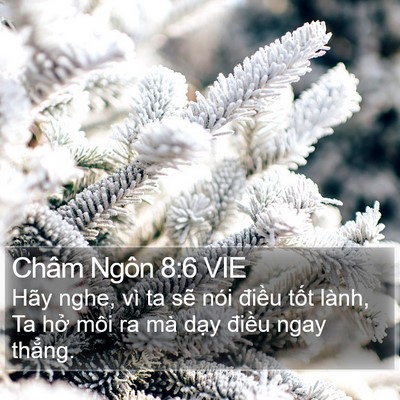 Châm Ngôn 8:6 VIE Bible Verse Image