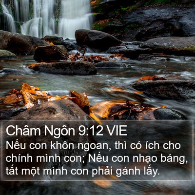 Châm Ngôn 9:12 VIE Bible Verse Image