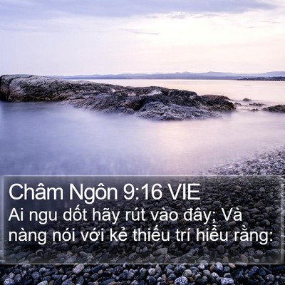 Châm Ngôn 9:16 VIE Bible Verse Image