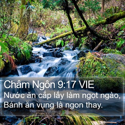 Châm Ngôn 9:17 VIE Bible Verse Image