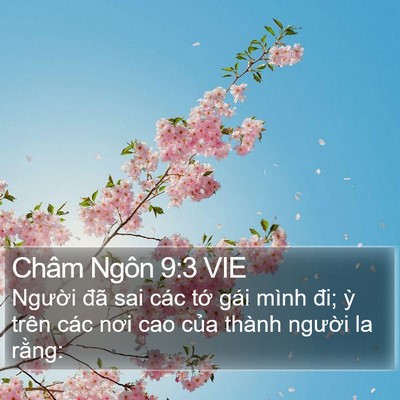 Châm Ngôn 9:3 VIE Bible Verse Image