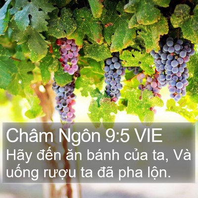 Châm Ngôn 9:5 VIE Bible Verse Image