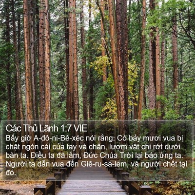 Các Thủ Lãnh 1:7 VIE Bible Verse Image