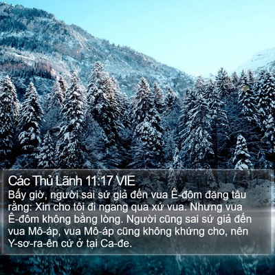 Các Thủ Lãnh 11:17 VIE Bible Verse Image