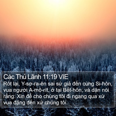 Các Thủ Lãnh 11:19 VIE Bible Verse Image