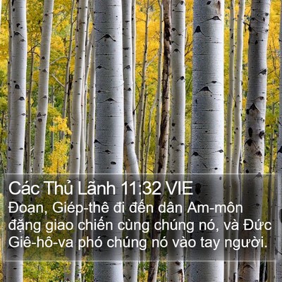 Các Thủ Lãnh 11:32 VIE Bible Verse Image