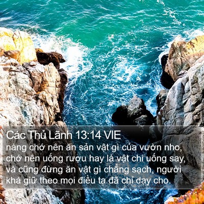 Các Thủ Lãnh 13:14 VIE Bible Verse Image