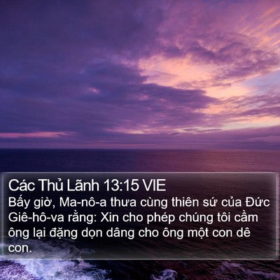 Các Thủ Lãnh 13:15 VIE Bible Verse Image
