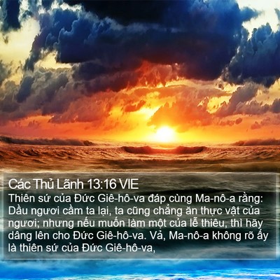 Các Thủ Lãnh 13:16 VIE Bible Verse Image