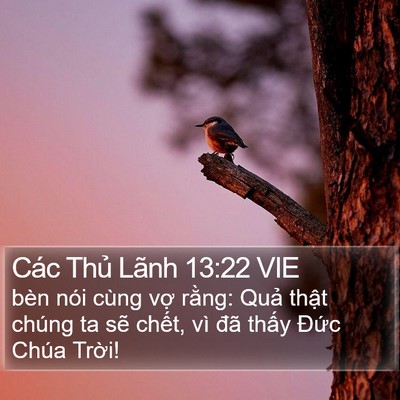 Các Thủ Lãnh 13:22 VIE Bible Verse Image