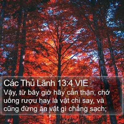Các Thủ Lãnh 13:4 VIE Bible Verse Image