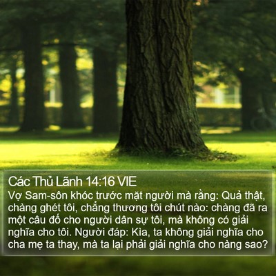 Các Thủ Lãnh 14:16 VIE Bible Verse Image