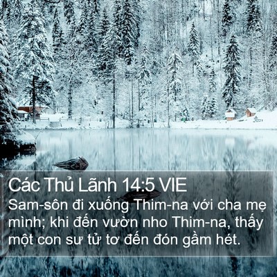 Các Thủ Lãnh 14:5 VIE Bible Verse Image