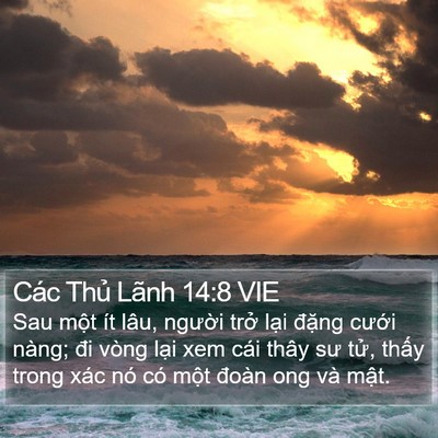 Các Thủ Lãnh 14:8 VIE Bible Verse Image