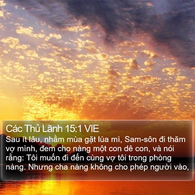 Các Thủ Lãnh 15:1 VIE Bible Verse Image