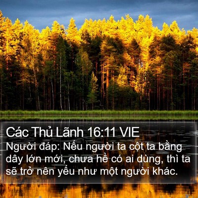 Các Thủ Lãnh 16:11 VIE Bible Verse Image