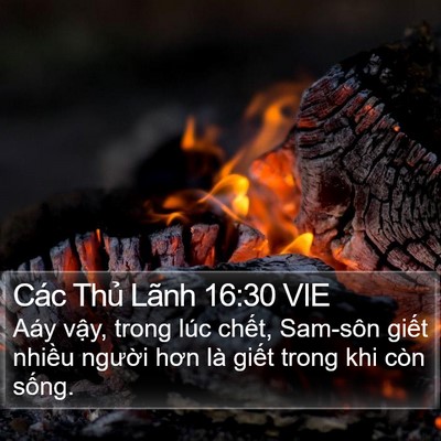 Các Thủ Lãnh 16:30 VIE Bible Verse Image