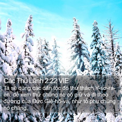Các Thủ Lãnh 2:22 VIE Bible Verse Image