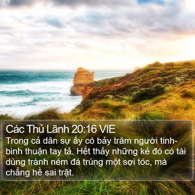 Các Thủ Lãnh 20:16 VIE Bible Verse Image