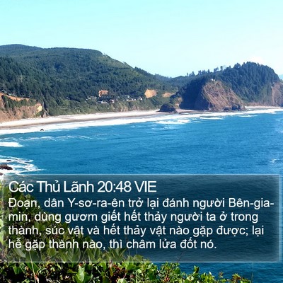 Các Thủ Lãnh 20:48 VIE Bible Verse Image