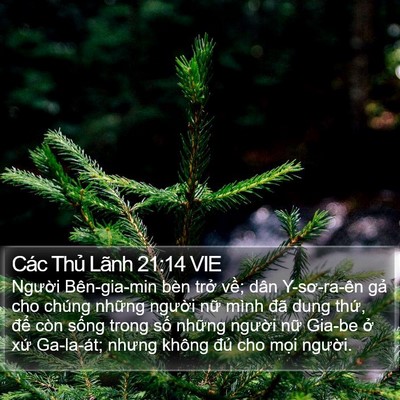 Các Thủ Lãnh 21:14 VIE Bible Verse Image