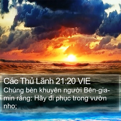 Các Thủ Lãnh 21:20 VIE Bible Verse Image