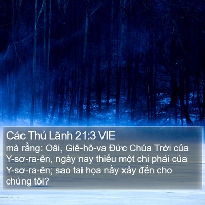 Các Thủ Lãnh 21:3 VIE Bible Verse Image