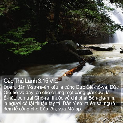 Các Thủ Lãnh 3:15 VIE Bible Verse Image